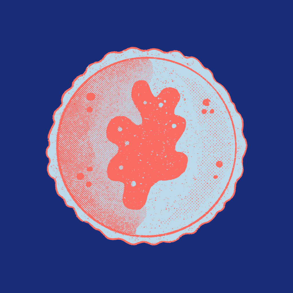 Chlamydia