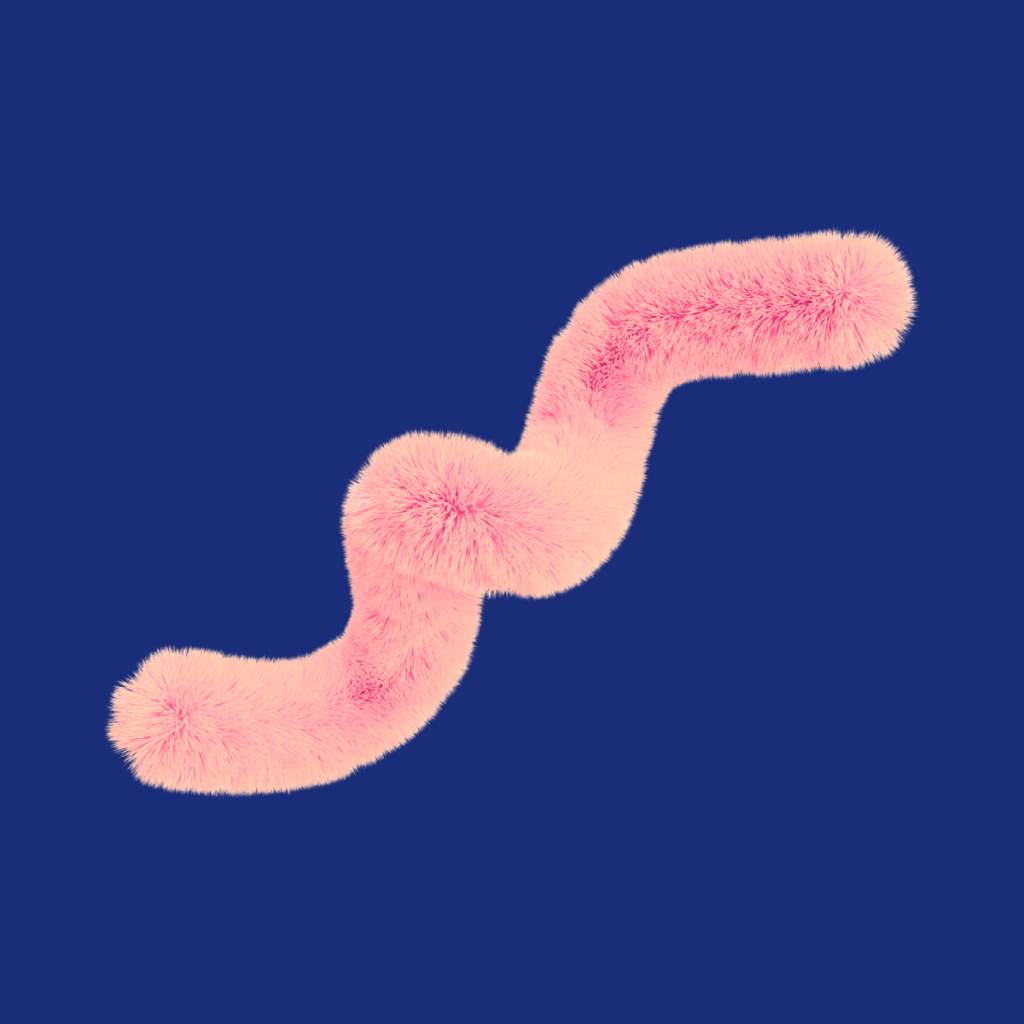 Syphilis