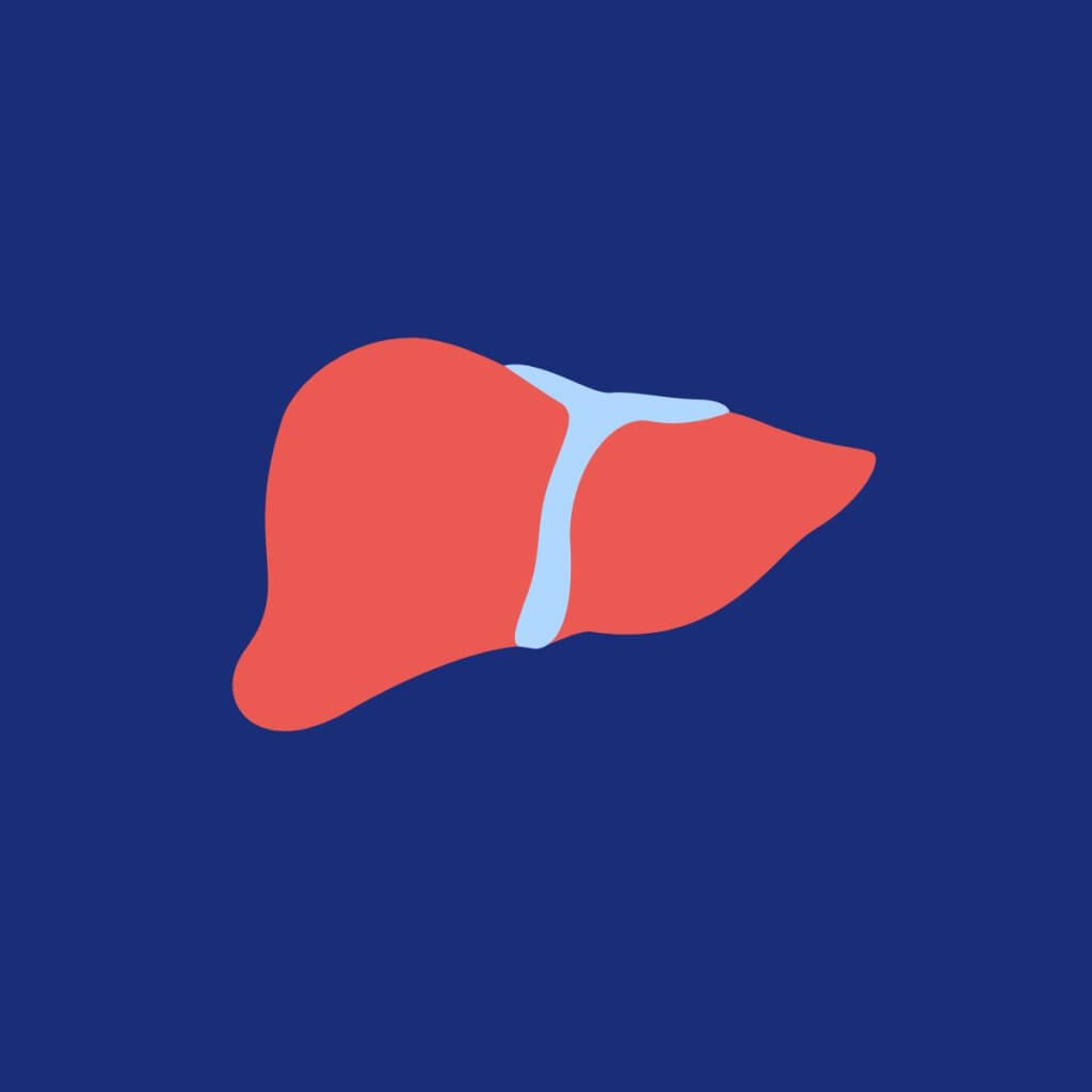 Transaminases SGPT